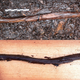 Views of the figurine showing its original location, and after its removal.